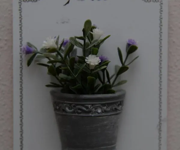 Valeri לינה וארוחת בוקר 4*