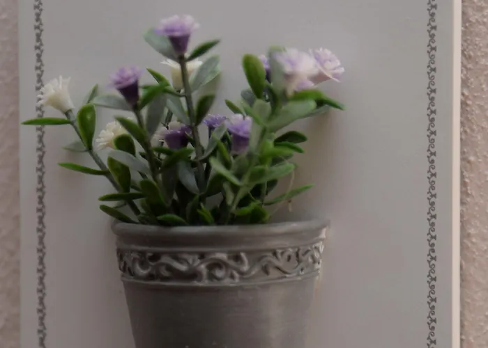 Valeri לינה וארוחת בוקר טרופאה