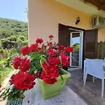 Valeri Tropea