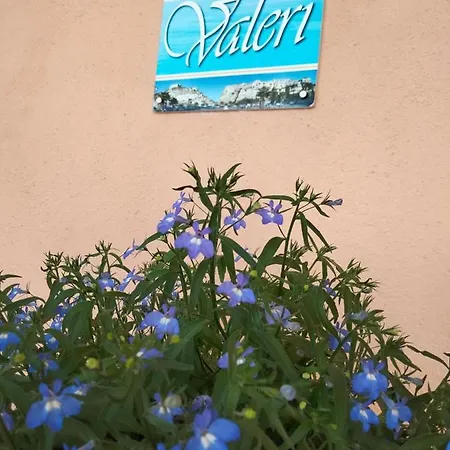 Valeri Couette-café Tropea