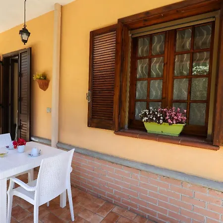 Valeri Couette-café Tropea