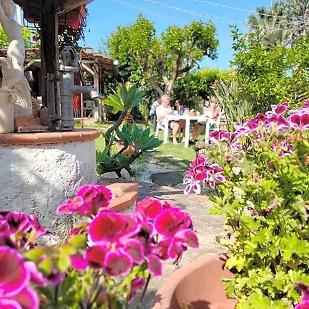 Valeri Tropea