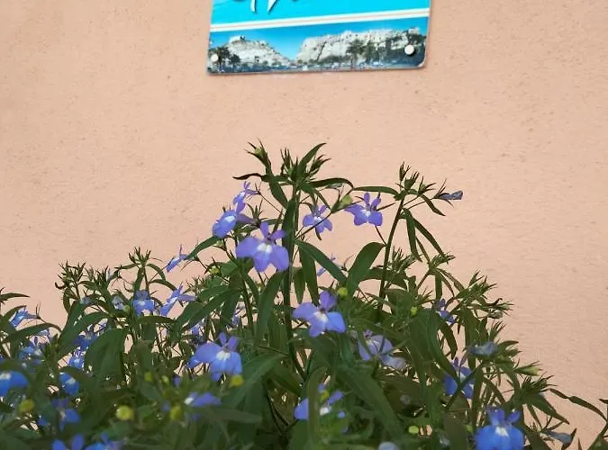 Valeri Frühstückspension Tropea